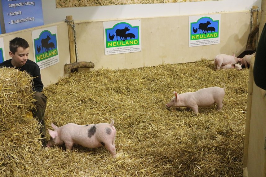 Gr&uuml;ne Woche 2017 in Berlin