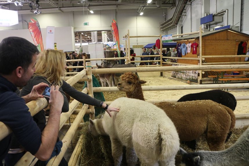 Gr&uuml;ne Woche 2017 in Berlin