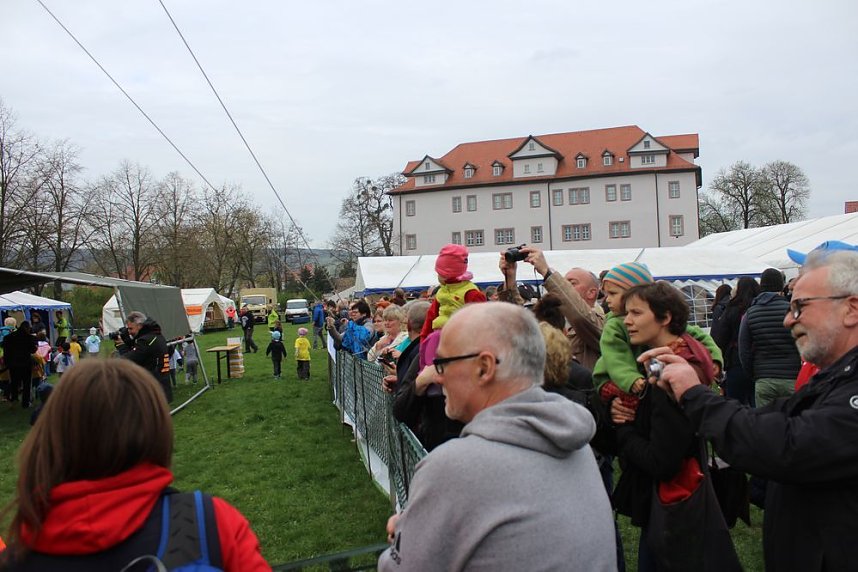 Bambinis begeisterten