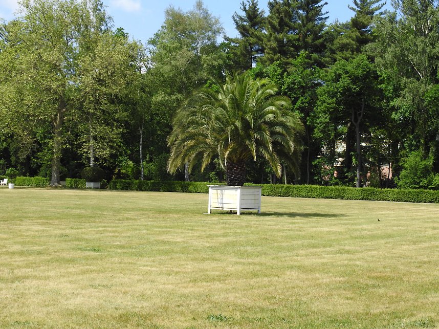 Lustwandeln im Park von Oranienbaum