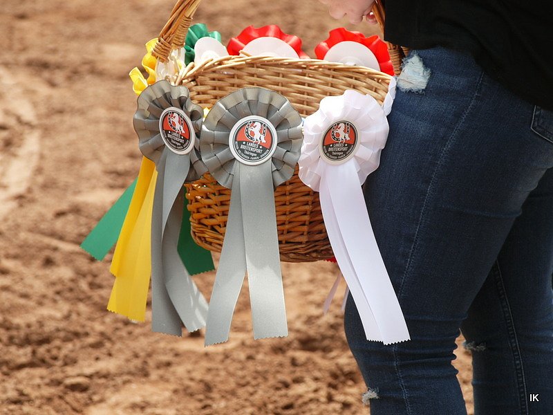 Breitensporttag am Reiterhof in Uder