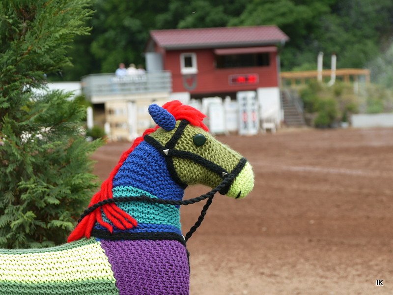 Breitensporttag am Reiterhof in Uder