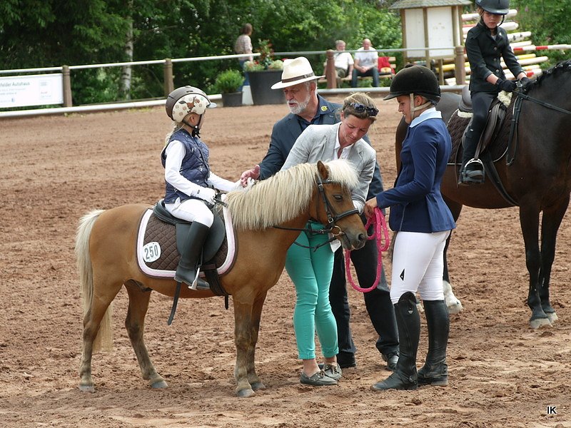 Breitensporttag am Reiterhof in Uder