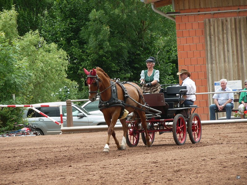 Breitensporttag am Reiterhof in Uder
