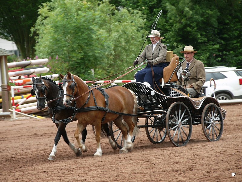 Breitensporttag am Reiterhof in Uder