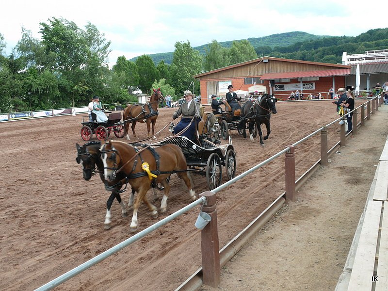 Breitensporttag am Reiterhof in Uder
