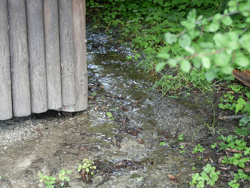 Quellen sprudeln &uuml;ber im B&auml;renpark