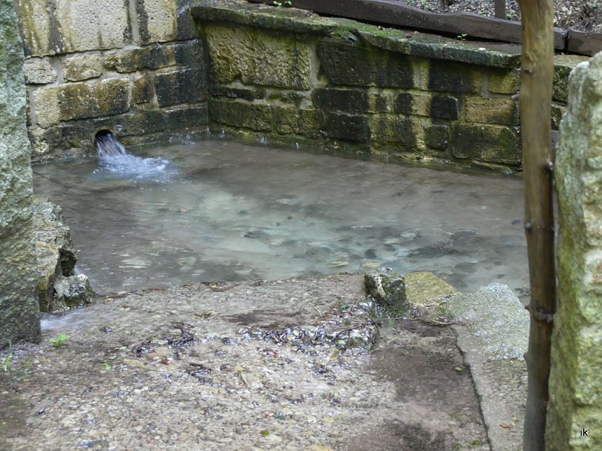 Quellen sprudeln &uuml;ber im B&auml;renpark