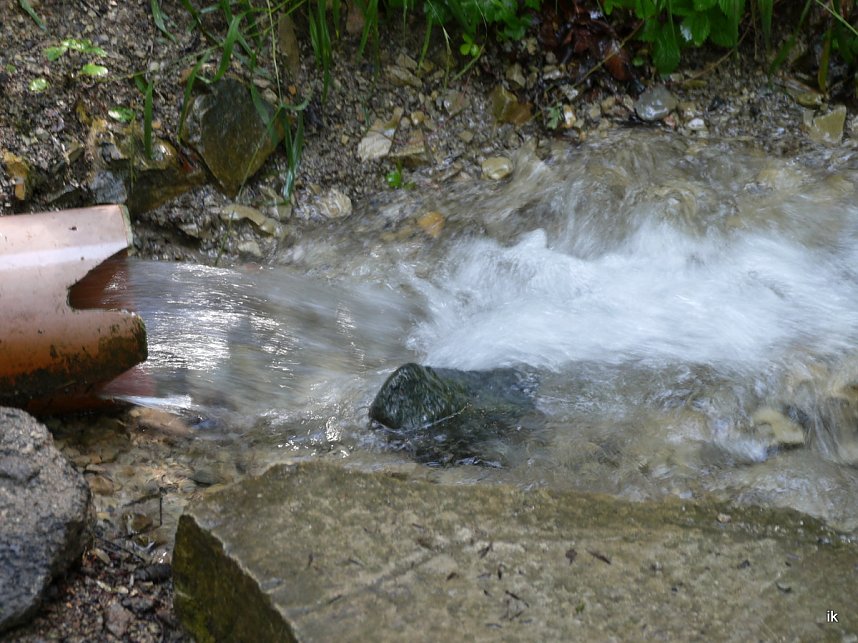 Quellen sprudeln &uuml;ber im B&auml;renpark