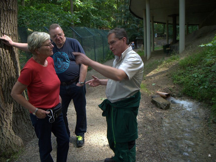 Quellen sprudeln &uuml;ber im B&auml;renpark