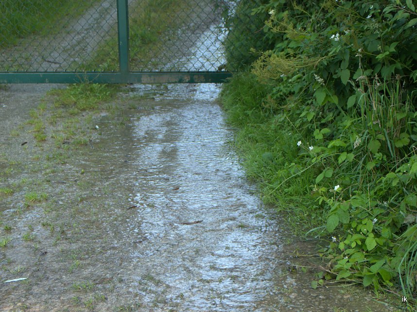 Quellen sprudeln &uuml;ber im B&auml;renpark