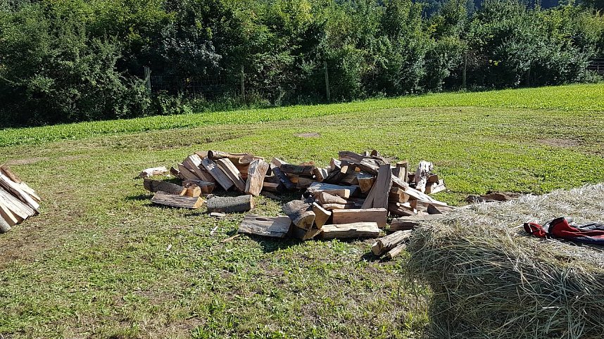 K&ouml;hlertage an der Arche Nebra