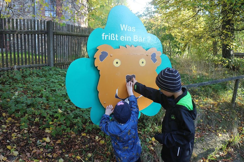 Goldener Herbst im B&auml;renpark Worbis