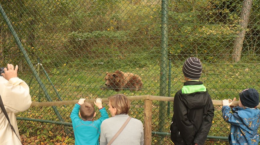 Goldener Herbst im B&auml;renpark Worbis
