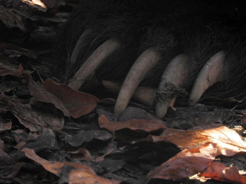 Peter Blei im B&auml;renpark Worbis