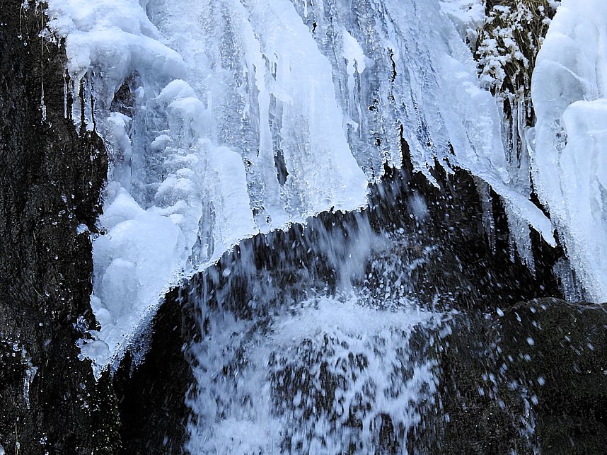 Peter Blei unterwegs im Harz