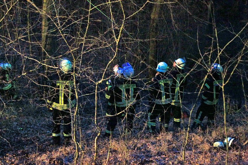 Gleitschirmflieger auf Baum