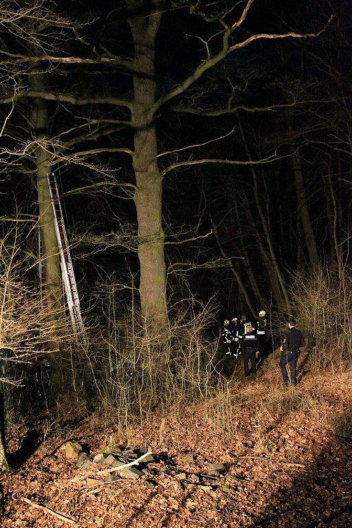Gleitschirmflieger auf Baum