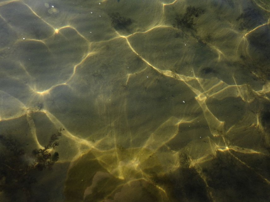 Lichtspiele am Seelhausener See