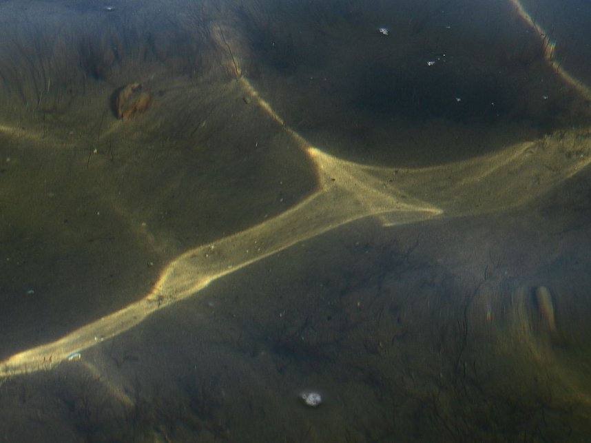 Lichtspiele am Seelhausener See