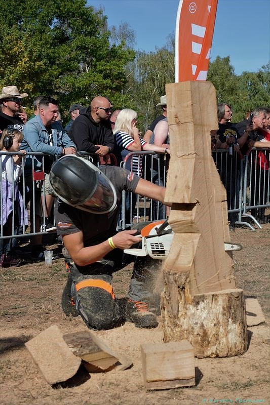 Emmenrausch am Stausee Kelbra