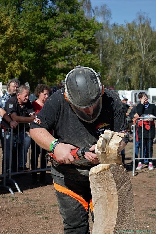 Emmenrausch am Stausee Kelbra