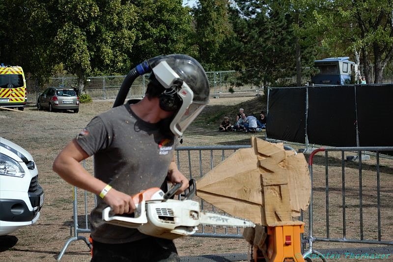 Emmenrausch am Stausee Kelbra