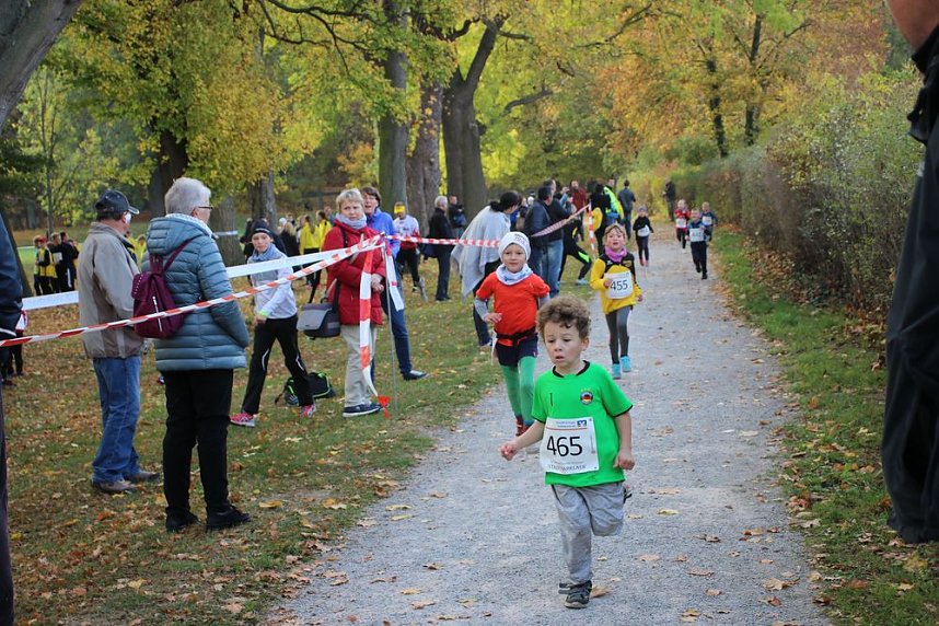 Stadtparklauf in Sondershausen (2)