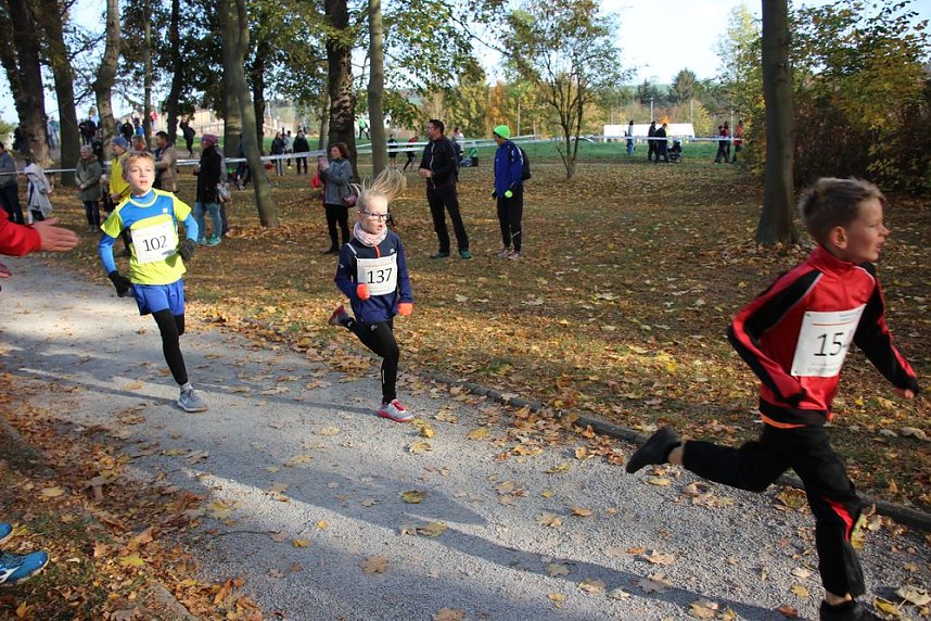 Stadtparklauf in Sondershausen (2)