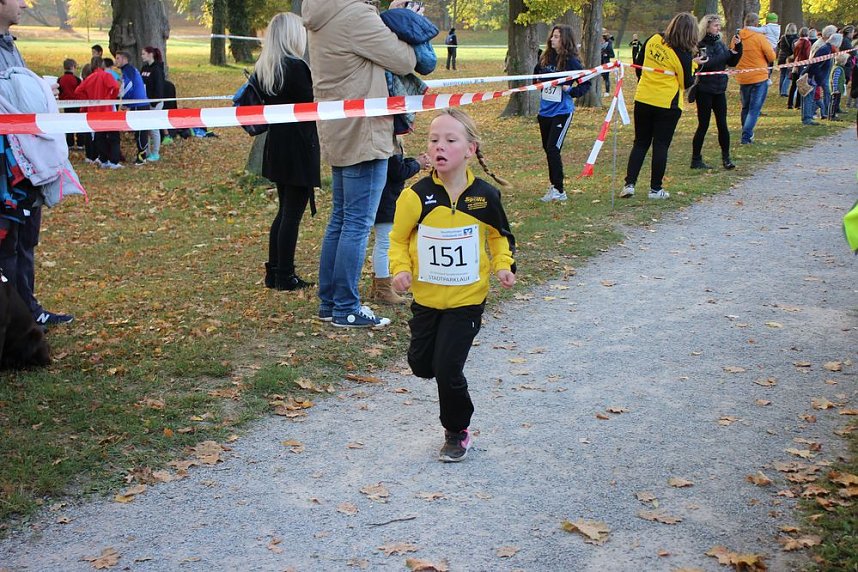 Stadtparklauf in Sondershausen (2)