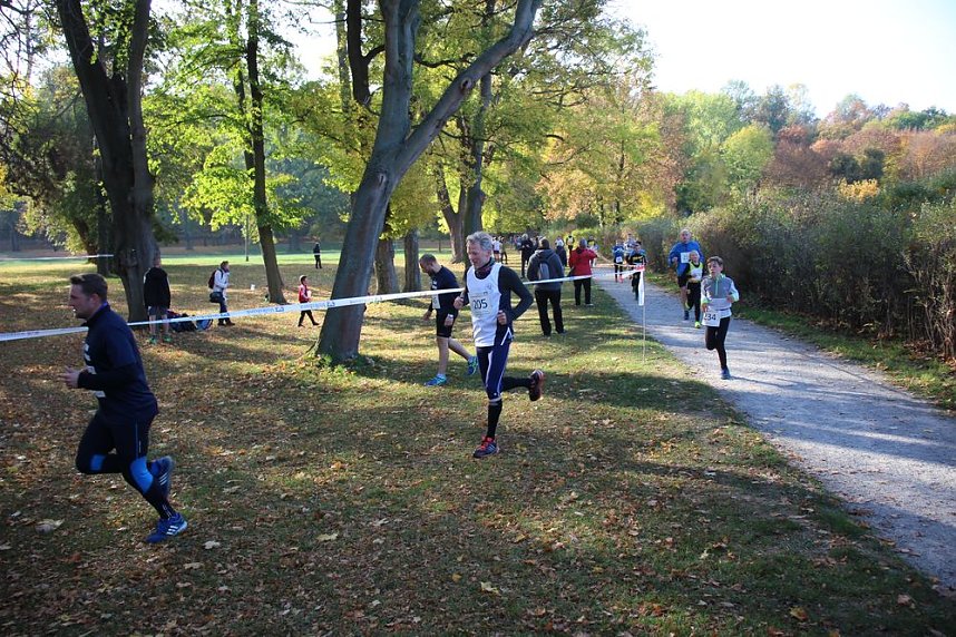 Stadtparklauf in Sondershausen (2)