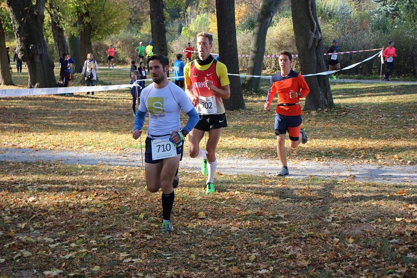 Stadtparklauf in Sondershausen (2)