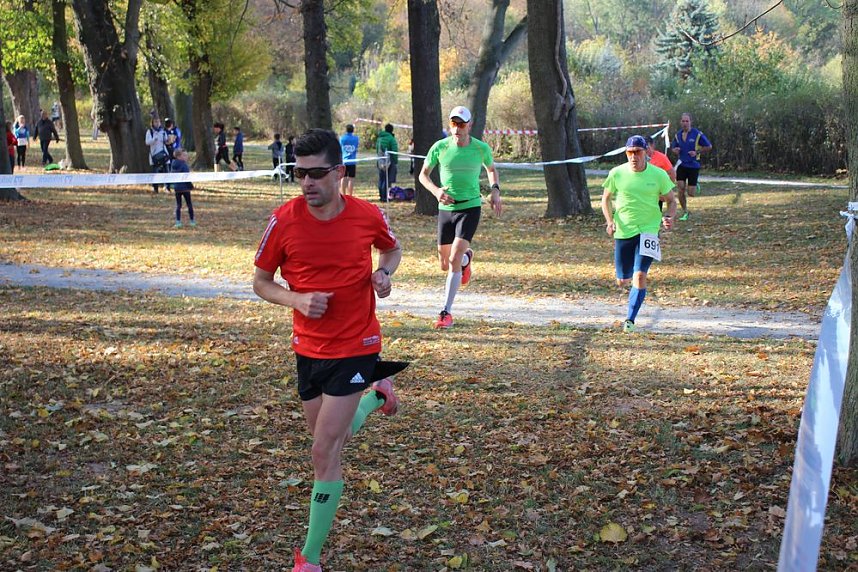 Stadtparklauf in Sondershausen (2)