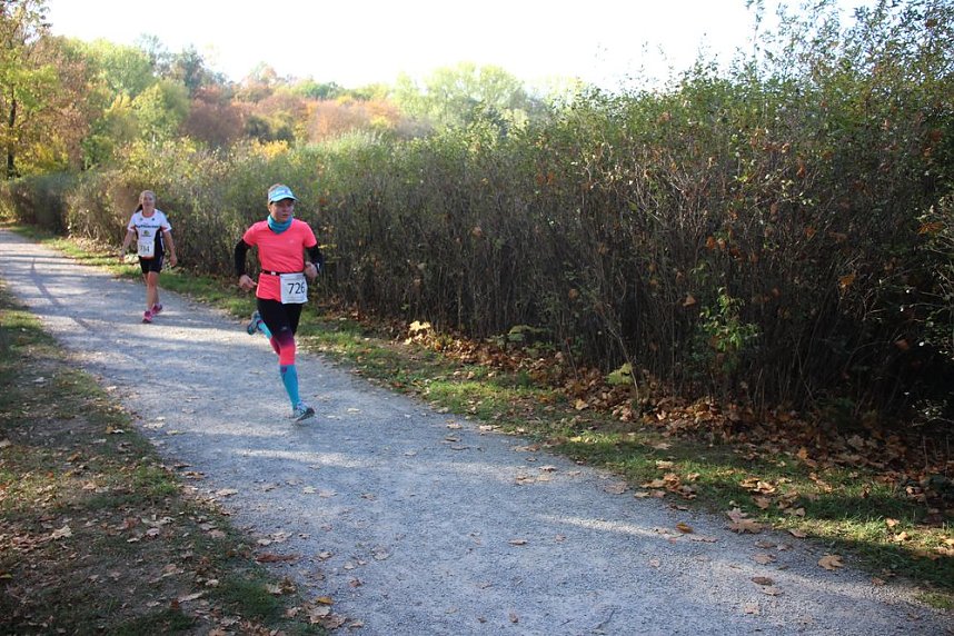 Stadtparklauf in Sondershausen (2)
