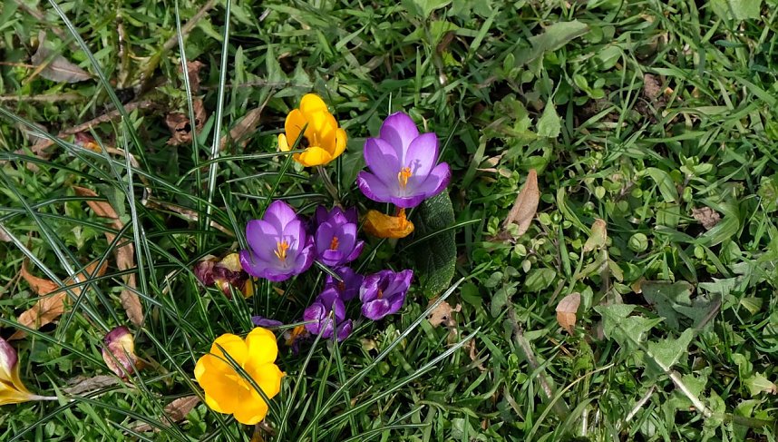 Der Sieger steht fest.