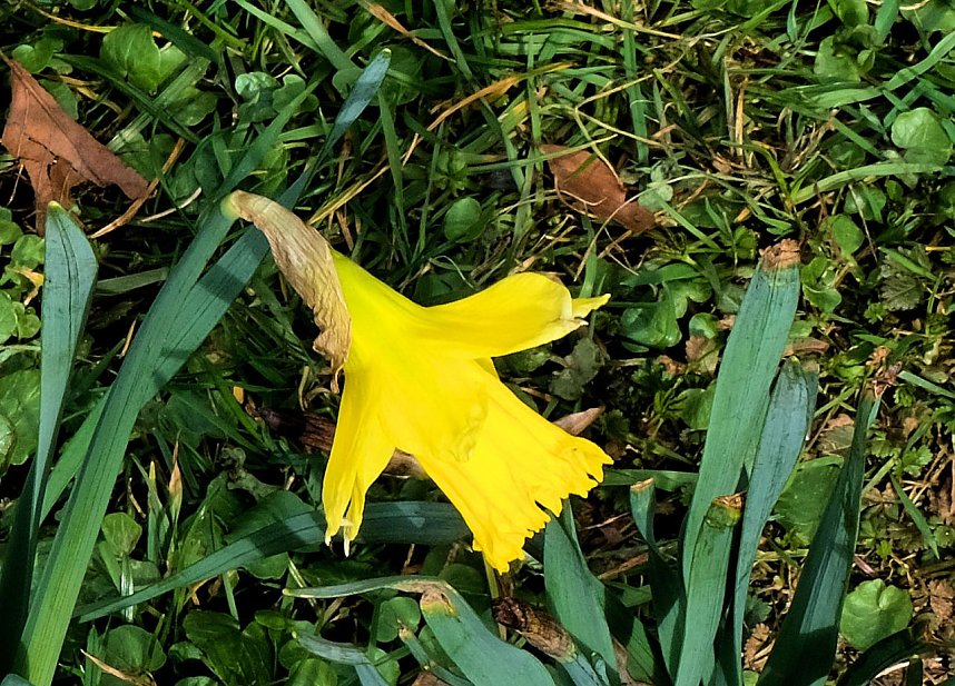 Der Sieger steht fest.