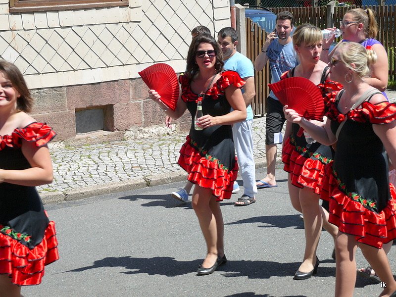 Festumzug in Bildern