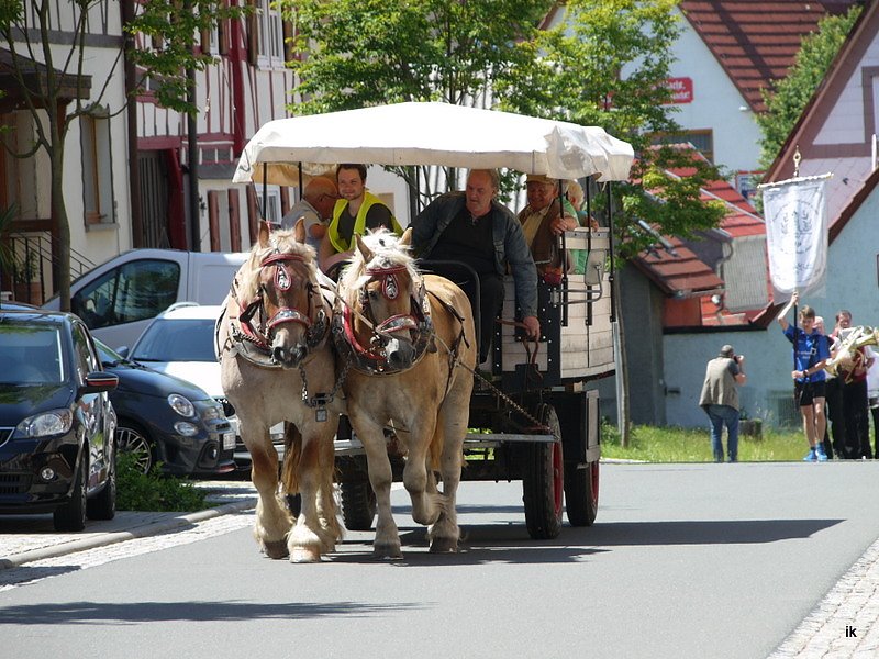 Festumzug in Bildern