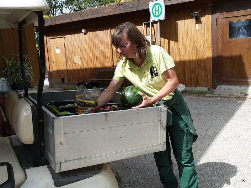 Spende f&uuml;r den B&auml;renpark