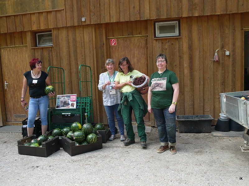 Spende f&uuml;r den B&auml;renpark