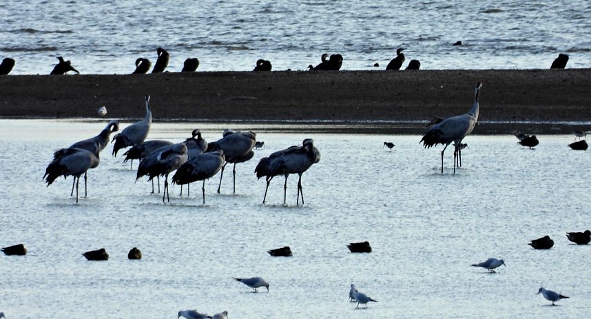 Abendstimmung am Stausee Kelbra