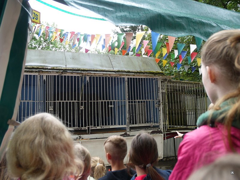 Ferienaktion Wolfsspur