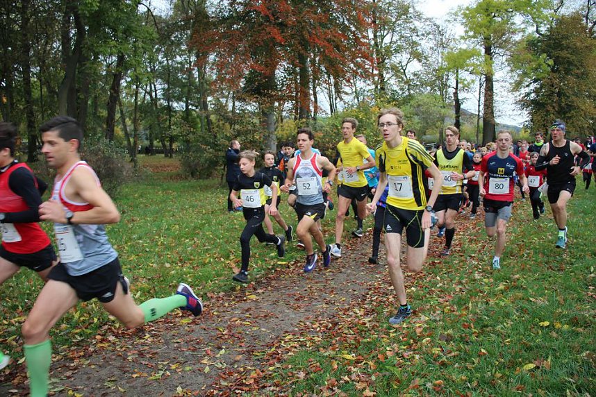 26. Stadtparklauf Sondershausen und...