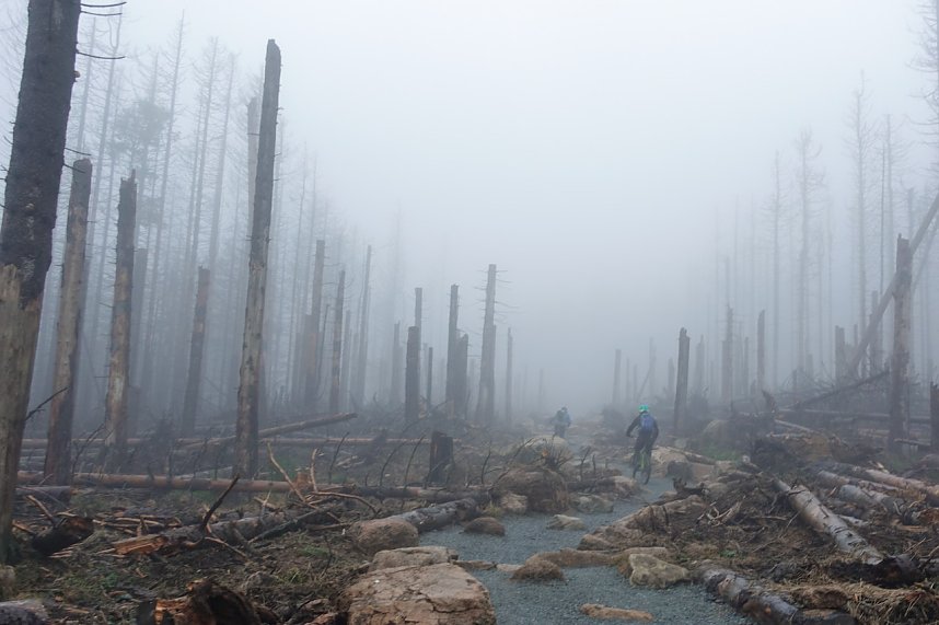 Heiligabend noch schnell auf den Brocken (2019)