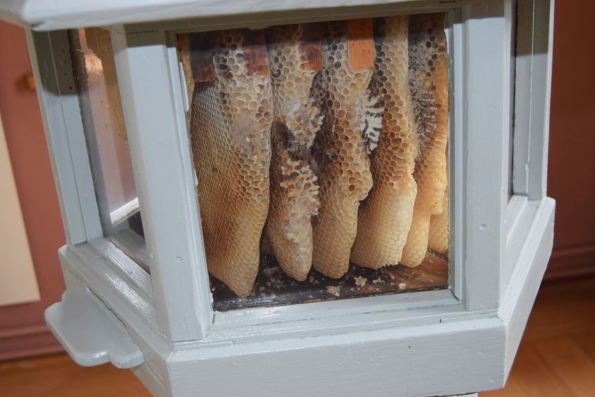 Schnelle Hilfe f&uuml;r Th&uuml;ringer Imker