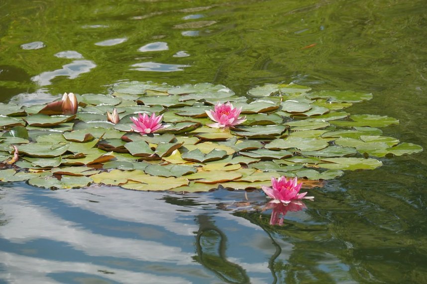 Impressionen aus Bad Langensalza