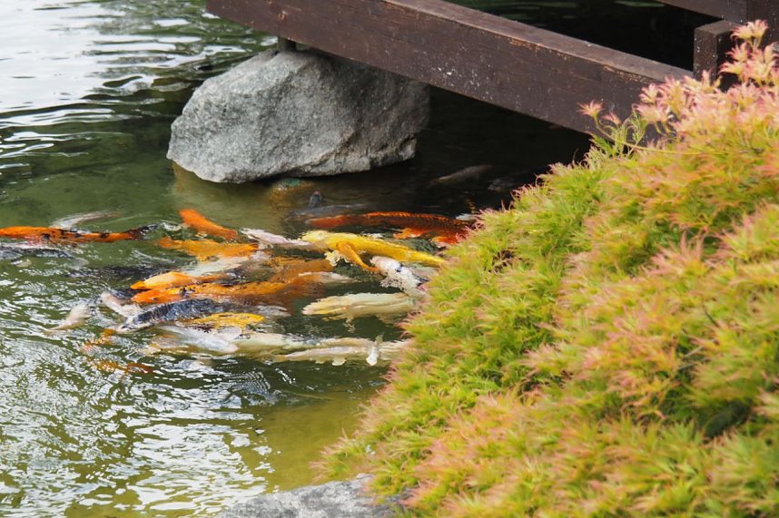 Impressionen aus Bad Langensalza