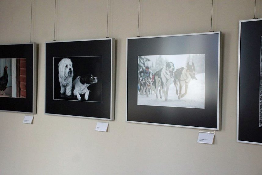 Landesfotoschau Th&uuml;ringen in Sondershausen zu Gast