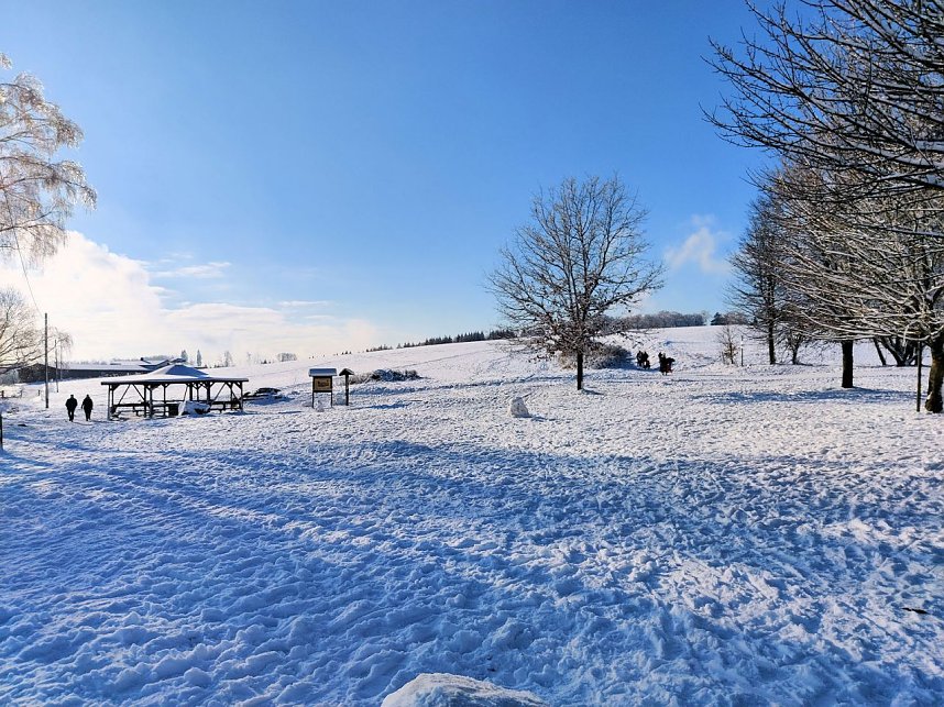 Winterliche Harzimpressionen