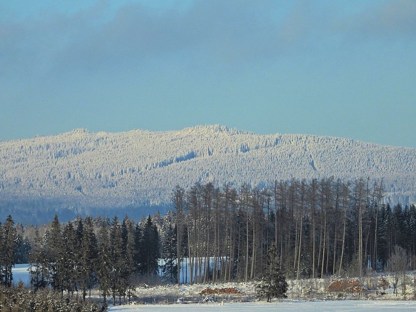 Winterliche Harzimpressionen